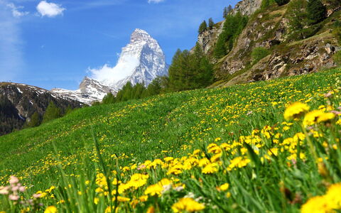 Center: Blume, Himmel, Pflanze, Berg, Wolke, Pflanzengemeinschaft, Ökoregion, Natürliche Landschaft, Blütenblatt