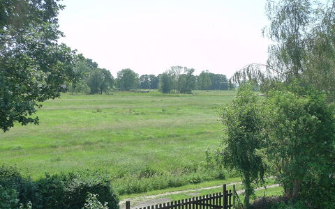 Villa Sorgenfrei: Natürliche Landschaft, Naturschutzgebiet, Eigentum, Weide, Grundstueck, Natürlichen Umgebung, Gras, Wiese, Baum, Wiese
