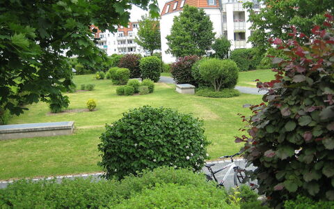 Kamelienweg: Pflanze, Fenster, Gebäude, Baum, Vegetation, Hecke, Gras, Haus, Immergrün, Landschaft
