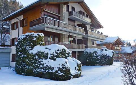 Roc Lyv: Schnee, Winter, Zuhause, Eigentum, Haus, Grundeigentum, Einfrieren, Gebäude, Wohngebiet, Die Architektur