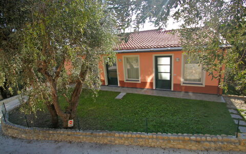 Imperia 530: Pflanze, Gebäude, Fenster, Haus, Grundstueck, Hütte, Baum, Strassenbelag, Gras, Schatten
