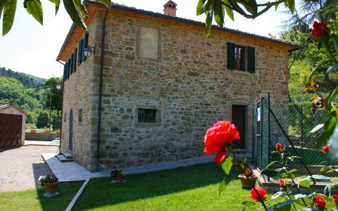Casa Antica: Pflanze, Gebäude, Himmel, Eigentum, Fenster, Grün, Blume, Baum, Haus, Gras