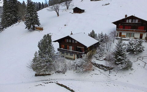 Wengen 150: Schnee, Himmel, Fenster, Gebäude, Natur, Berg, Steigung, Haus, Baum, Welt