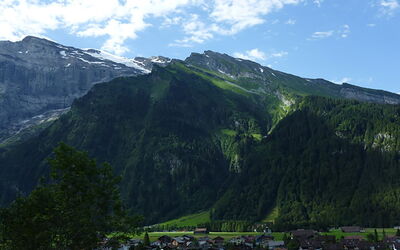 Berg Enzian