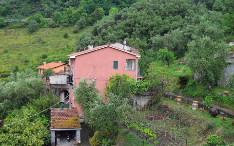 Cristina: Pflanze, Gebäude, Eigentum, Fenster, Natürliche Landschaft, Haus, Vegetation, Grundstueck, Biome, Hütte