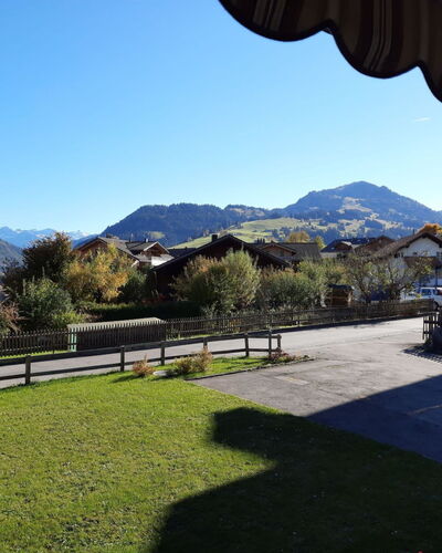 Mösli (Zimmerli)