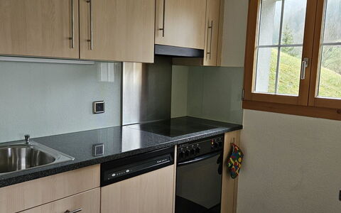 Burkhalter: Cabinetry, Spüle, Countertop, Sinken, Eigentum, Fenster, Zapfhahn, Gebäude, Holz, Küche