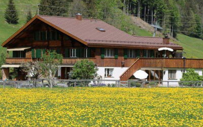 Baumerhus