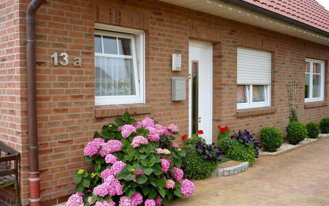 Reissmann: Blume, Pflanze, Fenster, Gebäude, Haus, Tür, Wand, Gras, Mauerwerk, Grundeigentum