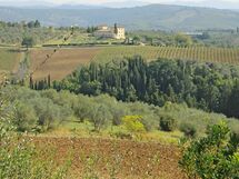 Spicciano 8