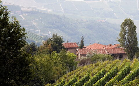 Borgo del Riondino: Vegetation, Bergstation, Atmosphärisches Phänomen, Hochland, Ländliches Gebiet, Plantage, Hügel, Berg, Baum, Bergdorf