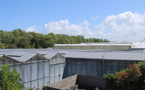 Moesbosch: Himmel, Wolke, Gebäude, Pflanze, Baum, Urban Design, Haus, Schatten, Fassade, Dach