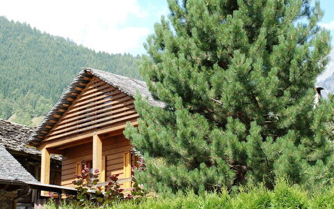 Rustico Fortuna: Baum, Vegetation, Dach, Biome, Eigentum, Haus, Blockhaus, Immergrün, Hütte, Pflanze