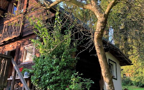 Reserl: Pflanze, Gebäude, Baum, Grün, Ast, Fenster, Botanik, Blumentopf, Haus, Treppe