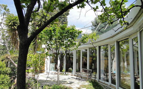 Agora: Baum, Vegetation, Die Architektur, Botanik, Gebäude, Ast, Gehölz, Pflanze, Frühling, Haus