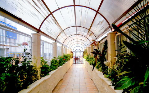 Las Damas: Walkway, Botanik, Gebäude, Symmetrie, Die Architektur, Pflanze, Fotografie, Garten