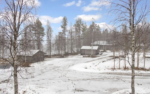 Suopursu: Baum, Winter, Ast, Schnee, Holz, Haus, Zuhause, Zweig, Hütte, Einfrieren