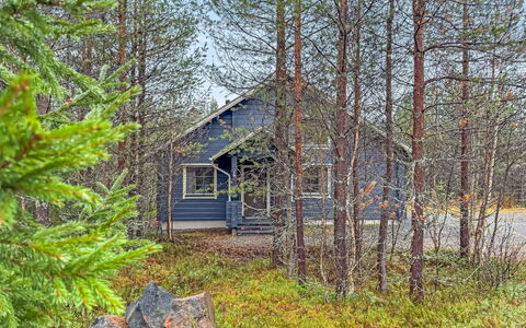 Mäntyrinne: Baum, Holz, Ast, Hütte, Wald, Grundstueck, Kofferraum, Wald, Zweig, Blockhaus