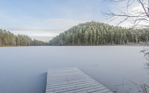 Viipusjärvi 10: Wasser, Natürlichen Umgebung, Natürliche Landschaft, Bank, Reflexion, Wildnis, See, Wald, Lärche, Reservoir