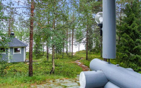 Kujalan Lomat 1: Baum, Wald, Wald, Hain, Immergrün, Lärche, Pine Familie