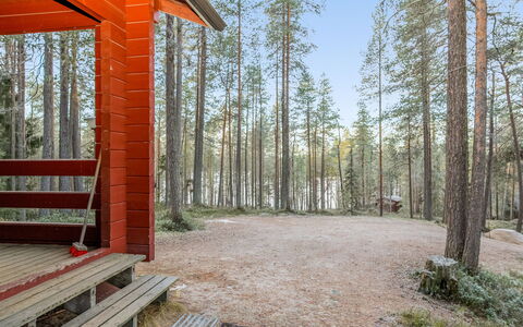 Viipusjärvi 12: Holz, Wald, Wald, Kofferraum, Hain, Blockhaus, Lärche, Northern Laubwald, Gartenbauten