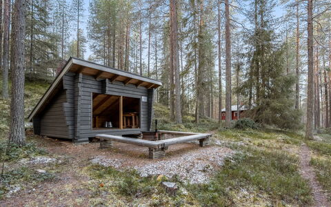Viipusjärvi 12: Holz, Schuppen, Blockhaus, Pflanzengemeinschaft, Wald, Gartenbauten, Hütte, Wald, Kofferraum