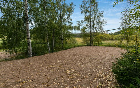 Koivuranta: Baum, Blatt, Natürlichen Umgebung, Gras, Natürliche Landschaft, Weg, Einfach, Wald, Boden