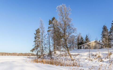 Iltarusko: Blau, Ast, Baum, Winter, Schnee, Zweig, Landschaft, Einfrieren, Hütte, Morgen