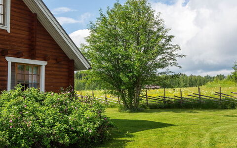 Ranta-Lemettilä: Zuhause, Hütte, Dach, Estate, Schatten, Bauernhaus, Rasen, Landscaping, Garten, Garten