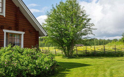 Ranta-Lemettilä: Grün, Blatt, Strauch, Landschaft, Grundstueck, Hütte, Zuhause, Garten, Frühling, Ground
