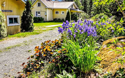 Villa Paasirinne B: Blume, Grün, Haus, Strauch, Zuhause, Garten, Hütte, Dach, Ground