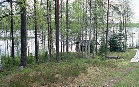 Mustikkainen: Zuhause, Hütte, Dach, Estate, Schatten, Bauernhaus, Rasen, Landscaping, Garten, Garten