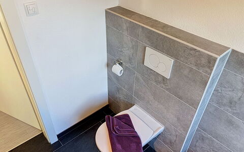 Am Arlberg: Flooring, Fussboden, Armatur, Badezimmer, Fliese, Toilette, Installation
