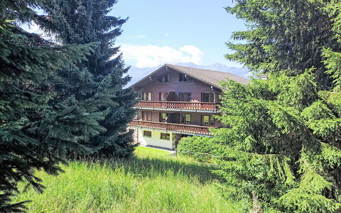 Diure 0113: Pflanze, Himmel, Wolke, Fenster, Gebäude, Natürliche Landschaft, Lärche, Haus, Grundstueck, Baum