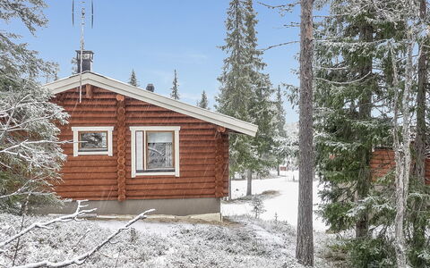 Oloskammi 5: Holz, Schnee, Winter, Hütte, Einfrieren, Zuhause, Blockhaus, Lärche, Abstellgleis