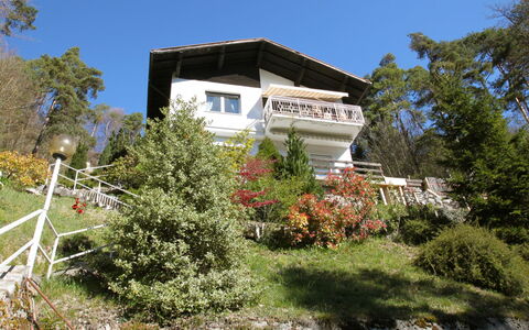 Rosemarie: Pflanze, Himmel, Gebäude, Fenster, Haus, Baum, Grundstueck, Hütte, Gras, Wohngebiet