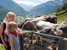 Unterkunft:&nbsp;Grünwald Resort Sölden - Chalets 486.1