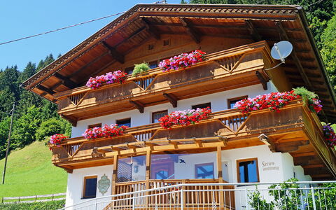 Gruber: Gebäude, Pflanze, Fenster, Eigentum, Himmel, Haus, Tempel, Baum, Holz