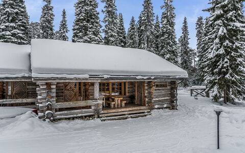 Seitsemän Savua 6: Holz, Hütte, Blockhaus, Wald, Schuppen, Gartenbauten, Lärche, Wald, Holzbeize