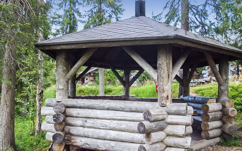 Seitsemän Savua 6: Holz, Hütte, Blockhaus, Wald, Schuppen, Gartenbauten, Lärche, Wald, Holzbeize