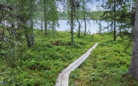 Seitsemän Savua 6: Holz, Hütte, Blockhaus, Wald, Schuppen, Gartenbauten, Lärche, Wald, Holzbeize