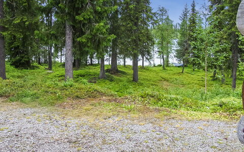 Seitsemän Savua 6: Holz, Hütte, Blockhaus, Wald, Schuppen, Gartenbauten, Lärche, Wald, Holzbeize