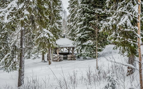 Seitsemän Savua 6: Schnee, Ast, Winter, Baum, Natürlichen Umgebung, Holz, Wald, Einfrieren, Zweig, Gazebo
