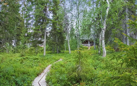 Seitsemän Savua 6: Grün, Baum, Natürlichen Umgebung, Natur, Blatt, Vegetation, Holz, Natürliche Landschaft, Wald