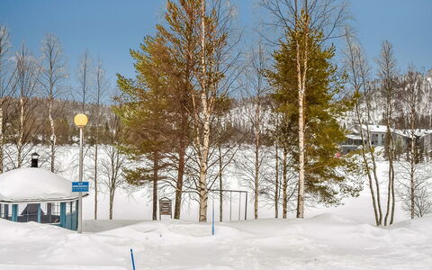 Kelokivakka D19: Ast, Baum, Winter, Schnee, Zweig, Einfrieren, Kofferraum, Steigung, Hain