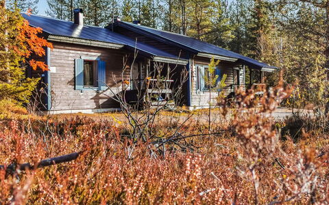 Salakolo 1: Holz, Hütte, Blockhaus, Wald, Schuppen, Gartenbauten, Lärche, Wald, Holzbeize