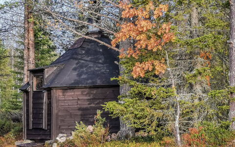 Salakolo 1: Holz, Wald, Kofferraum, Wald, Hütte, Schuppen, Hütte, Hütte, Zweig, Gartenbauten