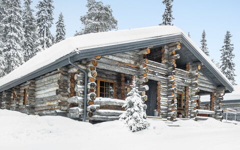 Kuusiruka 10: Holz, Hütte, Blockhaus, Wald, Schuppen, Gartenbauten, Lärche, Wald, Holzbeize