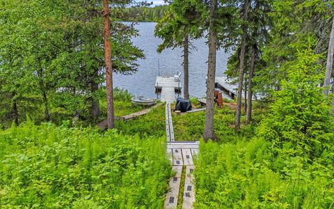 Aino: Holz, Hütte, Blockhaus, Wald, Schuppen, Gartenbauten, Lärche, Wald, Holzbeize