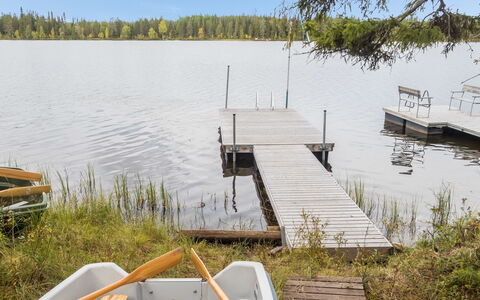 Aino: Holz, Hütte, Blockhaus, Wald, Schuppen, Gartenbauten, Lärche, Wald, Holzbeize